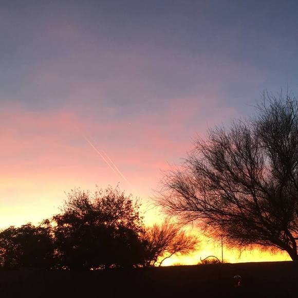 Meet your Posher, Michele - Picture 1 of 1